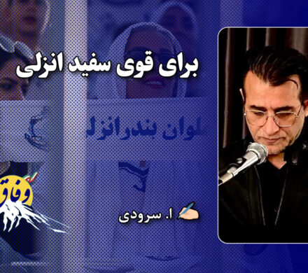 برای قوی سفید انزلی